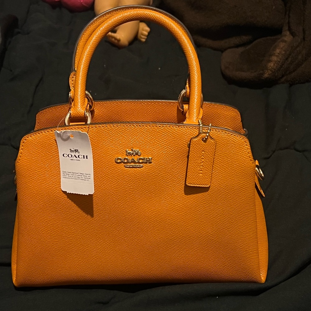 Coach Mini Lillie Carryall